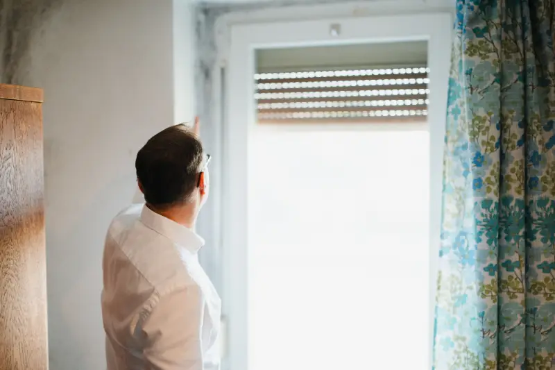 Professionelle Schimmelgutachten Professionelle Schimmelgutachten